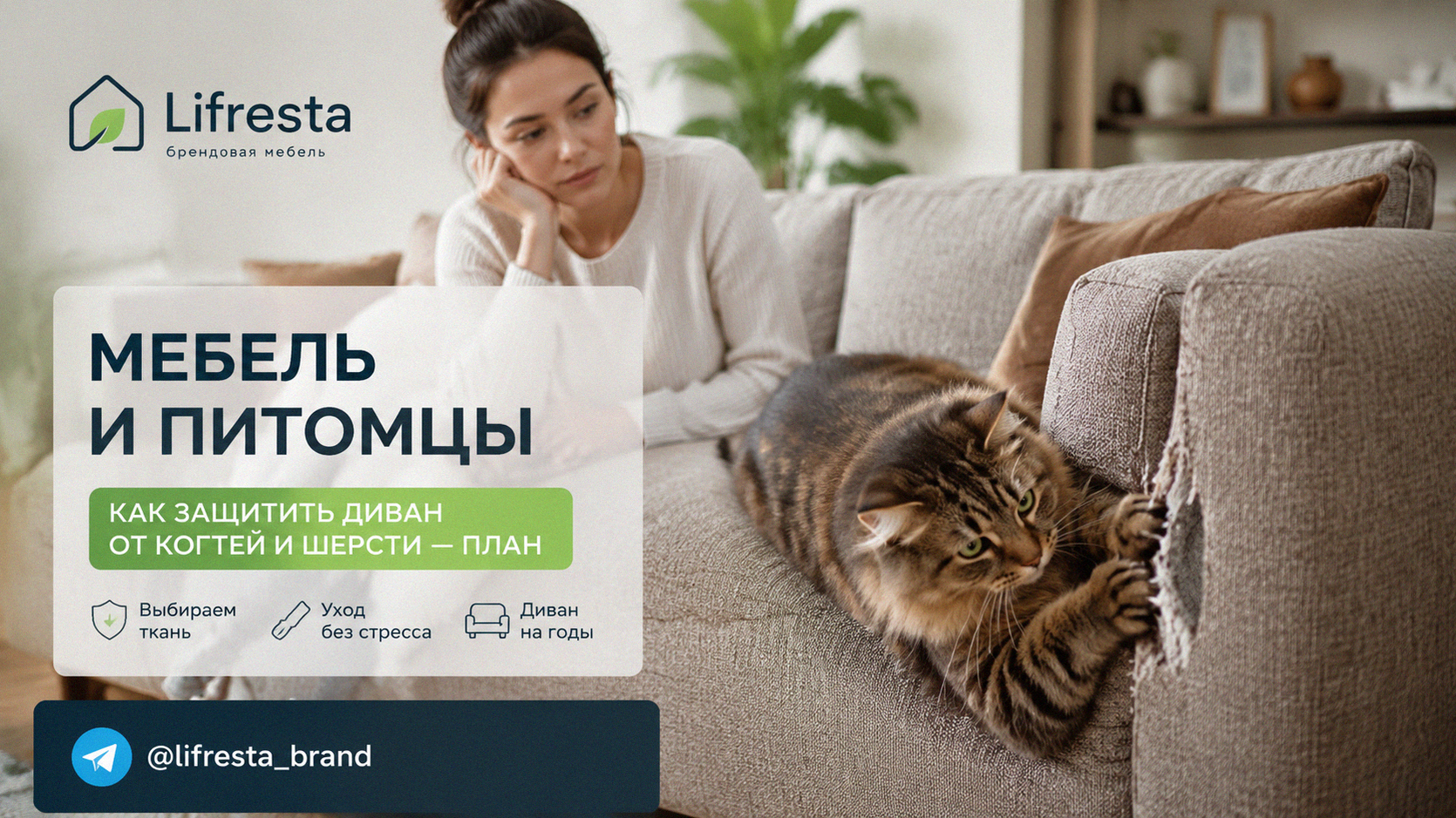 Мебель и питомцы: как защитить диван от когтей и шерсти — план