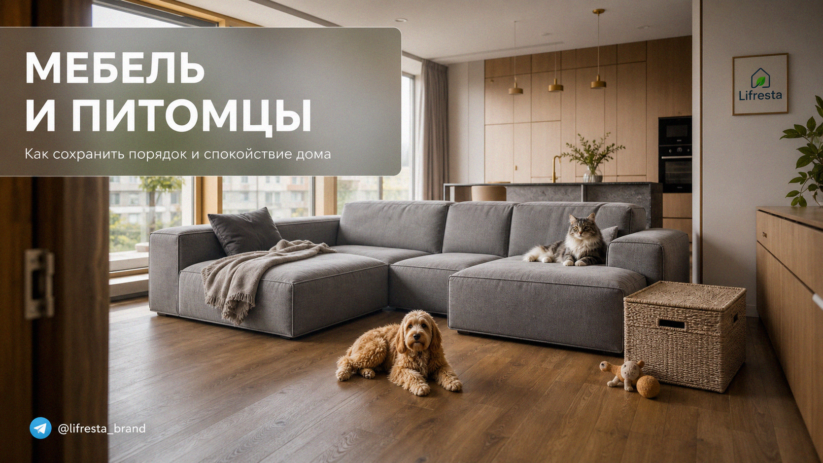 Мебель для дома с животными: как сохранить психику и порядок
