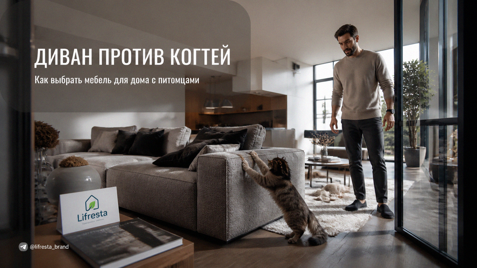 Мебель и животные дома: как выбрать диван, который переживёт когти
